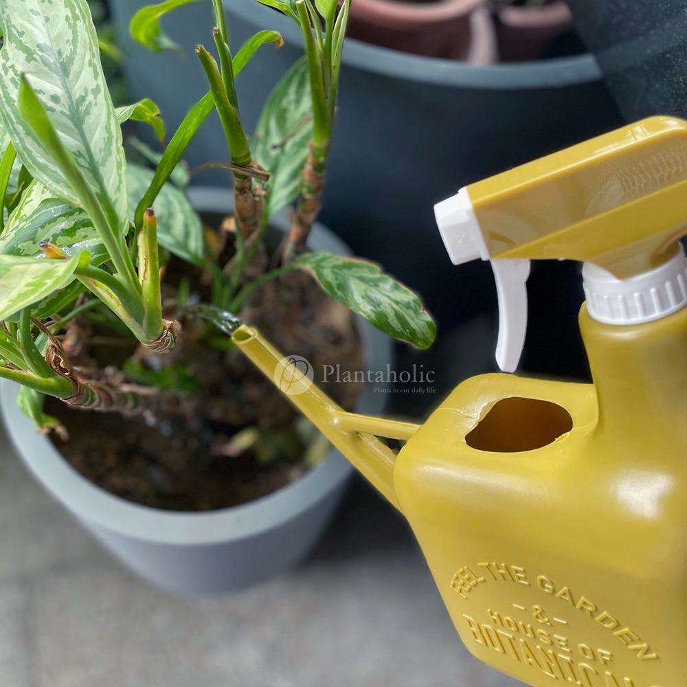 2in1日系兩用園藝水壺| Plantaholic